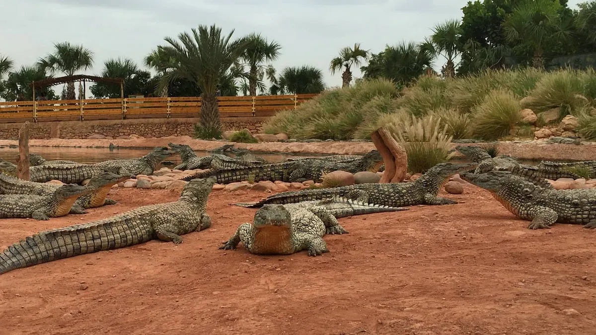 Que faire à Agadir en 3 jours avec une voiture de location ? Le programme idéal
